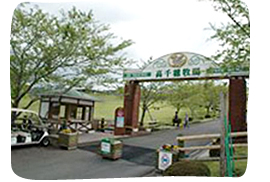 Takachiho Ranch